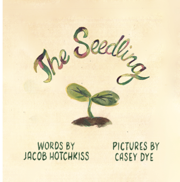 The Seedling picture book cover